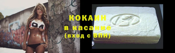 таблы Новозыбков