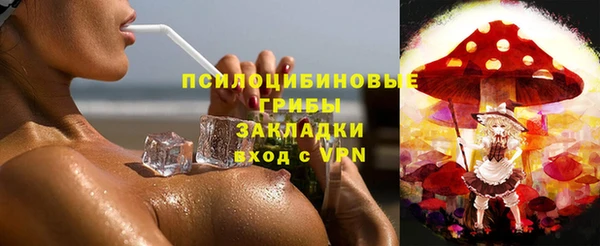 ГАЛЛЮЦИНОГЕННЫЕ ГРИБЫ Новокубанск
